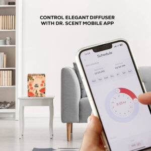Amazon-Elegant-6